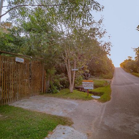 Aruana Suites Seu Refugio Entre Arvores A 5Km Da Vila De Praia Do Forte Luaran gambar